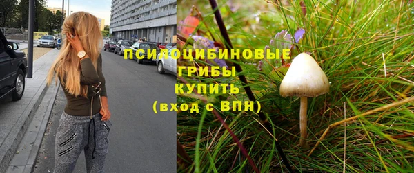 а пвп мука Осташков