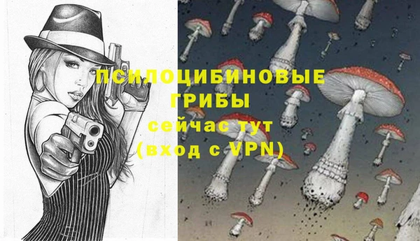 герыч Алексин