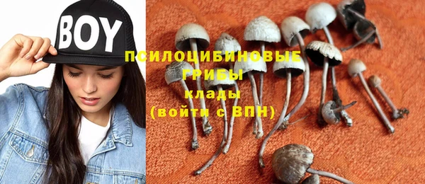сатива Алзамай