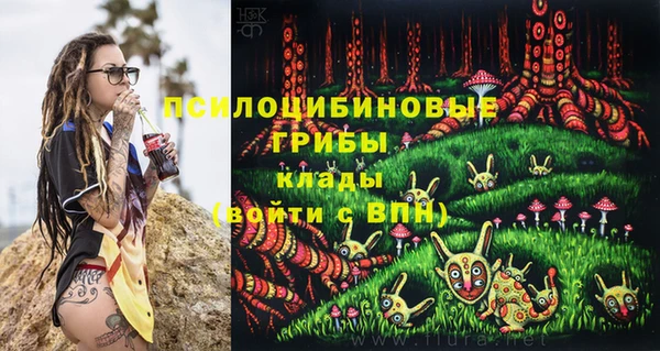 сатива Алзамай