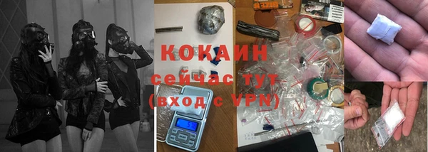 сатива Алзамай